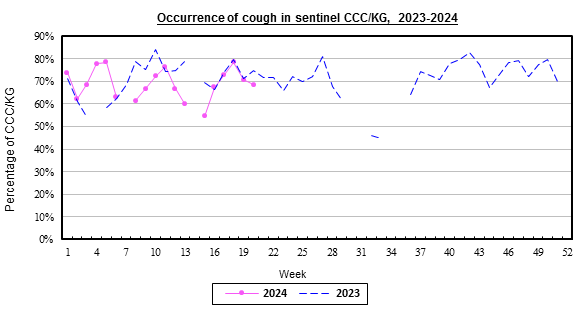 Weekly chart for occurrence of cough in sentinel CCC/KG, 2023-2024.  The activity of cough in week 16 was at baseline level.