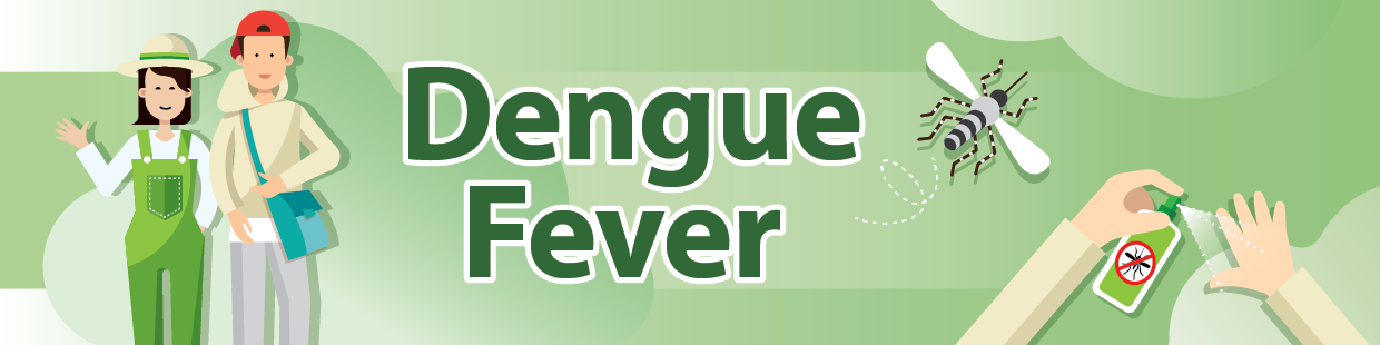 What is Dengue Fever?